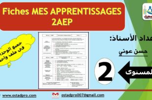 Fiches mes apprentissages 2AEP