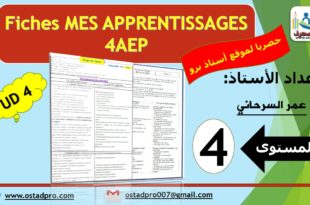 Fiches mes apprentissages 4AEP