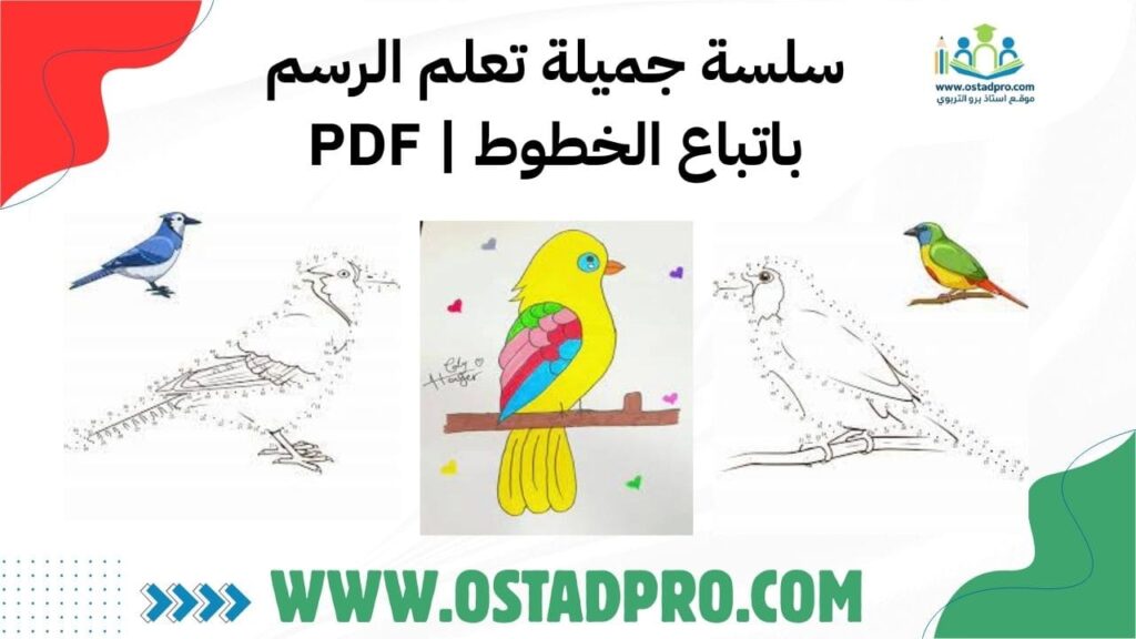 سلسة جميلة تعلم الرسم باتباع الخطوط PDF