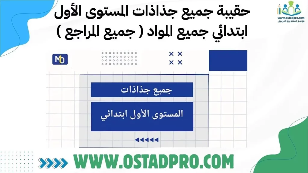 حقيبة جميع جذاذات المستوى الأول