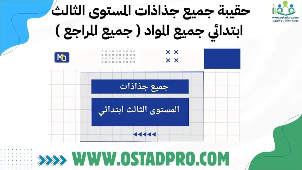 حقيبة جميع جذاذات المستوى الثالث :جميع المواد و جميع المراجع
